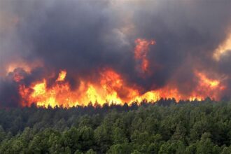 گسترش و تداوم آتش‌سوزی در جنگل‌های مریوان