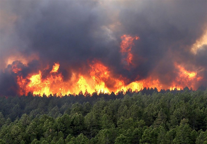گسترش و تداوم آتش‌سوزی در جنگل‌های مریوان