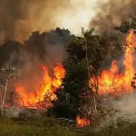 آتش‌سوزی‌های مهیب در زاگرس