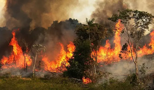 آتش‌سوزی‌های مهیب در زاگرس