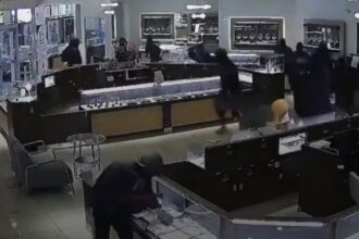 حمله بی‌سابقه به جواهرفروشی در کالیفرنیا: ۲۲ مرد نقاب‌دار اقدام به سرقت گسترده کردند