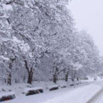 بارش برف و باران در ایران