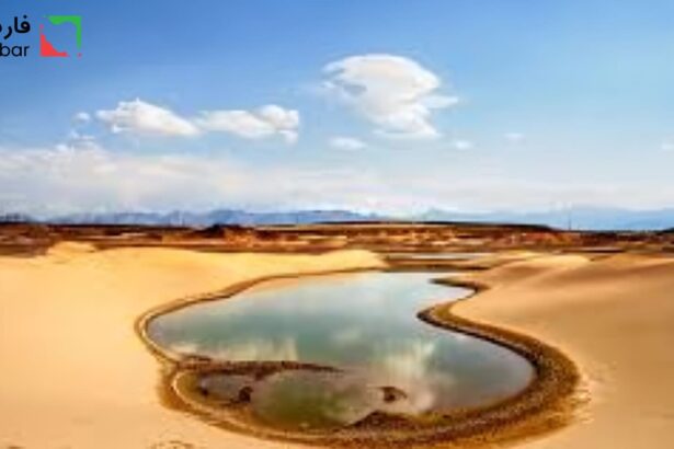 در قلب یزد: عطر تاریخ و خلاقیت معماری کویری