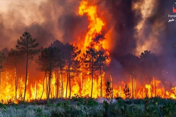 آتش‌ سوزی اسرائیل: آیا این فاجعه طبیعی است یا یک توطئه ساختگی؟