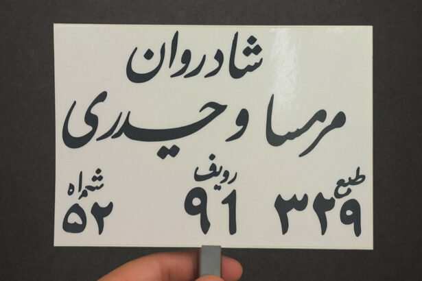 پیام مرموزی قبل از مرگ؟ آخرین حضور نهال بلاگر شک و تردیدها را برانگیخت