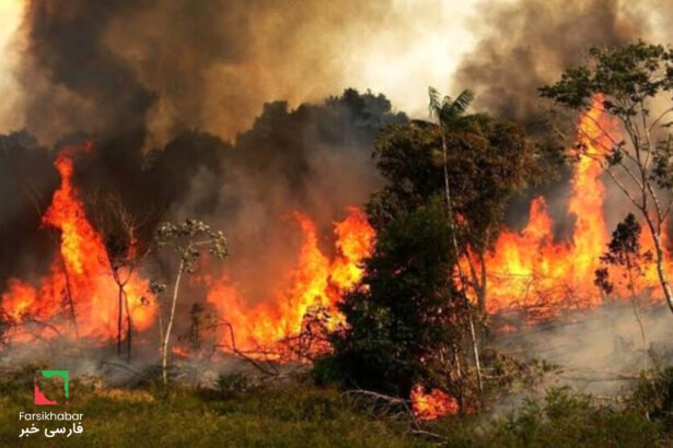 چه کسی آتش را به جنگل‌های آستارا زد؟..تحقیقی هیجان‌انگیز حقیقت را فاش می‌کند!