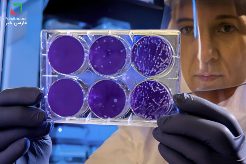 سلول‌های بنیادی: کلید جوانی یا بازی با قوانین طبیعت؟