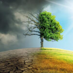 آلودگی هوا در ايران؛ هشدار درباره افزایش مرگ‌ومیر