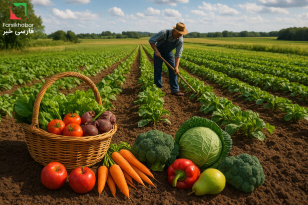 کشاورزی ارگانیک؛ غذای سالم یا فریب بازاریابی؟