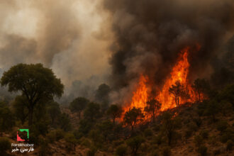 آتش‌سوزی جنگل‌های ایلام؛ فاجعه‌ای طبیعی یا خیانتی انسانی؟