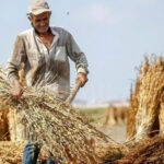 امنیت غذایی ایران در آستانه فروپاشی؛ سوءمدیریت یا تحریم‌ها؟