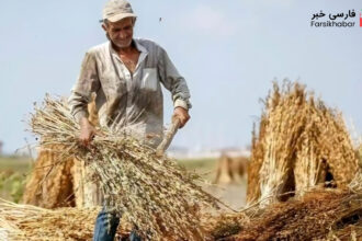 امنیت غذایی ایران در آستانه فروپاشی؛ سوءمدیریت یا تحریم‌ها؟