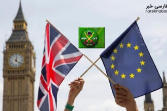 The Academic Cover of the Brotherhood: A Hidden Path to Recruitment