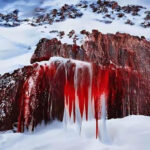 آبشار خون قطب جنوب: راز سرخ‌رنگی که دانشمندان را حیرت‌زده کرده است