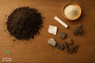 بیماری پیکا؛ اختلال روانی یا نشانه کمبودهای جسمی؟