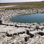 دریاچه سراب نیلوفر کرمانشاه خشک شد؛ بحران محیط زیستی که نادیده گرفته شد