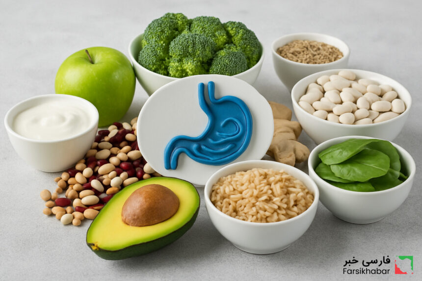 سلامت دستگاه گوارش؛ میان عادت‌های سنتی و دانش نوین