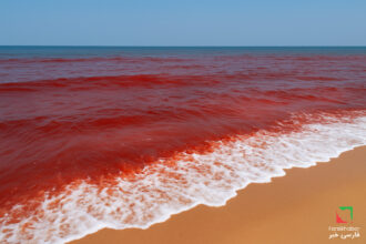 موج‌های خون در هند: پدیده‌ای مرموز که جهان را متحیر کرده است