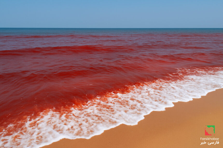 موج‌های خون در هند: پدیده‌ای مرموز که جهان را متحیر کرده است