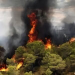 آتش‌سوزی در جنگل‌های نمنق جلفا؛ بحران رو به گسترش در دل طبیعت