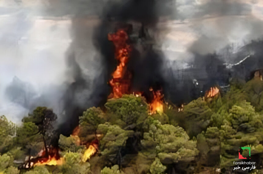 آتش‌سوزی در جنگل‌های نمنق جلفا؛ بحران رو به گسترش در دل طبیعت