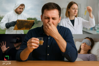 عجیب‌ترین مشاغل جهان: کشف دنیای عجیب و مهارت‌های غیرمتداول