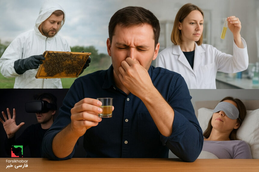 عجیب‌ترین مشاغل جهان: کشف دنیای عجیب و مهارت‌های غیرمتداول