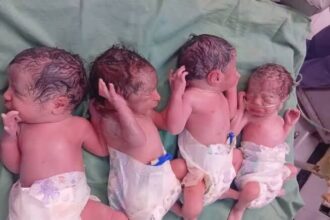 معجزه در زایش: نگاهی به غریب‌ترین نمونه‌های تولد چندقلویی در ایران و چالش‌های آن