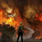 آتش‌سوزی جنگل‌های الیت مازندران؛ بحران خاموشی‌ناپذیر در قلب جنگل‌های شمال