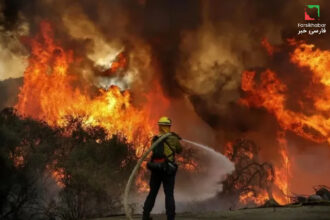 آتش‌سوزی جنگل‌های الیت مازندران؛ بحران خاموشی‌ناپذیر در قلب جنگل‌های شمال