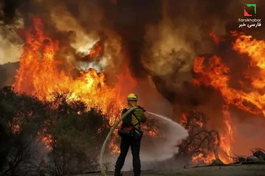 آتش‌سوزی جنگل‌های الیت مازندران؛ بحران خاموشی‌ناپذیر در قلب جنگل‌های شمال