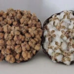 پنبه قهوه‌ای خوسف؛ میراثی کهن در جدال با چالش‌های امروز