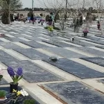 بهشت زهرای تهران، میزان تلفات انسانی را آشکار می‌کند