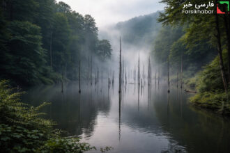 در سال‌های اخیر، این دریاچه به یکی از مقاصد محبوب طبیعت‌گردی تبدیل شده است. گردشگران برای تجربه سکوت و فضای متفاوت، آن را انتخاب می‌کنند. تورهای محلی با راهنمایان بومی، اطلاعات ارزشمندی درباره تاریخ طبیعی منطقه ارائه می‌دهند و سفر را ایمن‌تر می‌کنند. استفاده از این راهنماها توصیه می‌شود. بازدیدکنندگان بهتر است اصول گردشگری مسئولانه را رعایت کنند؛ از جمله عدم رهاسازی زباله و پرهیز از آسیب به پوشش گیاهی. در نهایت، دریاچه ارواح مازندران نه‌تنها یک جاذبه دیدنی، بلکه فرصتی برای درک عمیق‌تر از طبیعت رازآلود شمال ایران است.