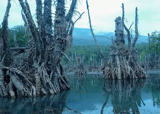 دریاچه ارواح مازندران