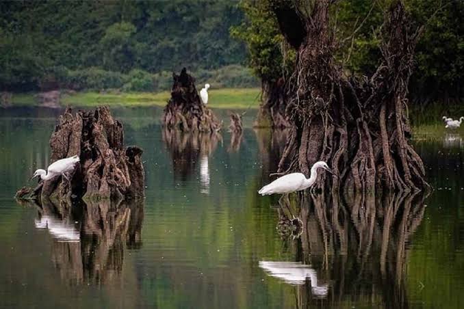 دریاچه ارواح مازندران