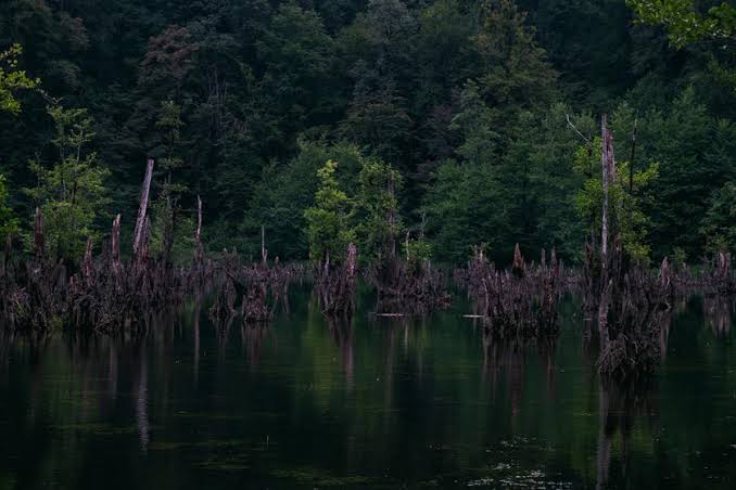 دریاچه ارواح مازندران