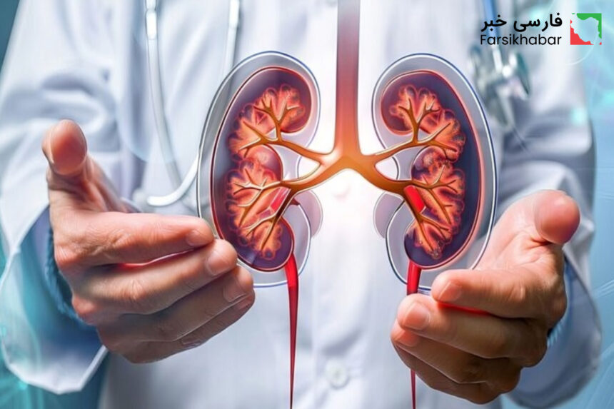 بیماری مزمن کلیه؛ زنگ خطر خاموش سلامت جامعه
