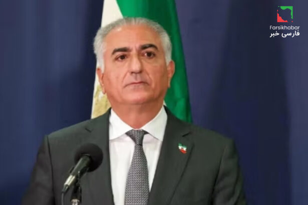 شاهزاده رضا پهلوی: حمایت بیش از ۱۳۰ متخصص ایرانی در بریتانیا