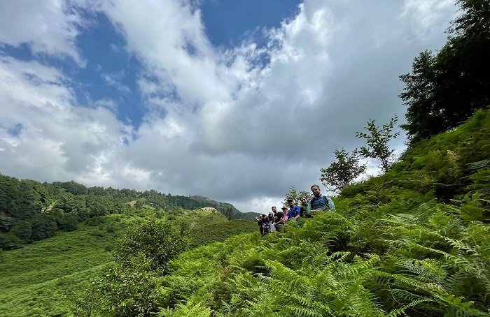 کاهش پوشش جنگلی سوها؛ زنگ خطر تازه برای زیست‌بوم اردبیل