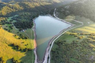 کاهش پوشش جنگلی سوها؛ زنگ خطر تازه برای زیست‌بوم اردبیل