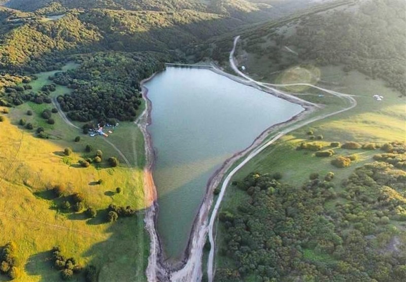 کاهش پوشش جنگلی سوها؛ زنگ خطر تازه برای زیست‌بوم اردبیل