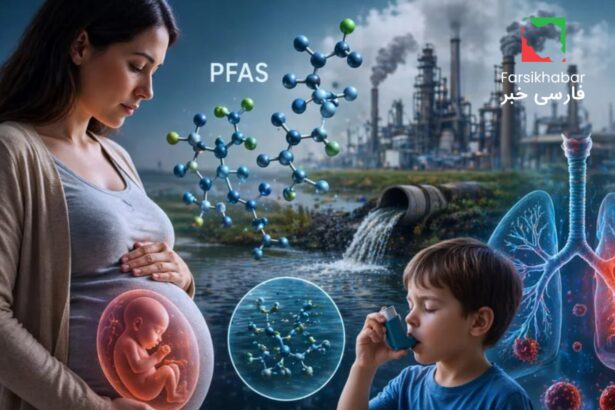 آیا مواد شیمیایی صنعتی در بارداری به جنین آسیب می‌زند؟