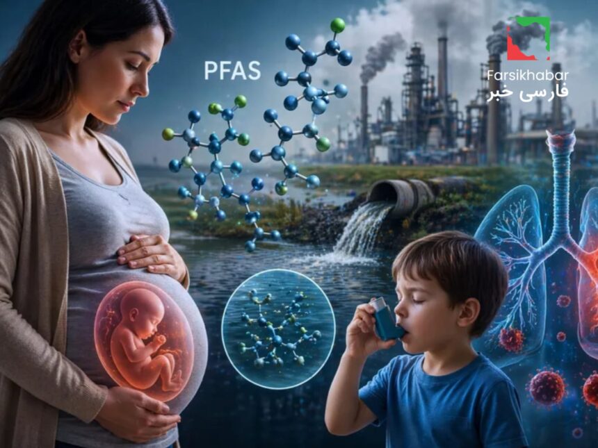 آیا مواد شیمیایی صنعتی در بارداری به جنین آسیب می‌زند؟