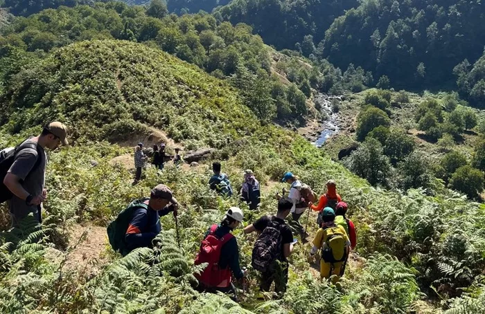 کاهش پوشش جنگلی سوها؛ زنگ خطر تازه برای زیست‌بوم اردبیل