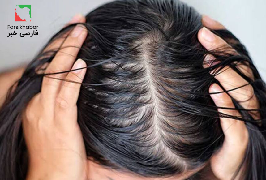 آیا کنترل چربی مو ضروری است یا یک باور اشتباه؟