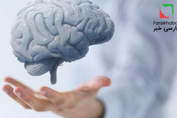 مضرات نمک برای مغز؛ آیا مصرف زیاد سدیم باعث آلزایمر می‌شود؟