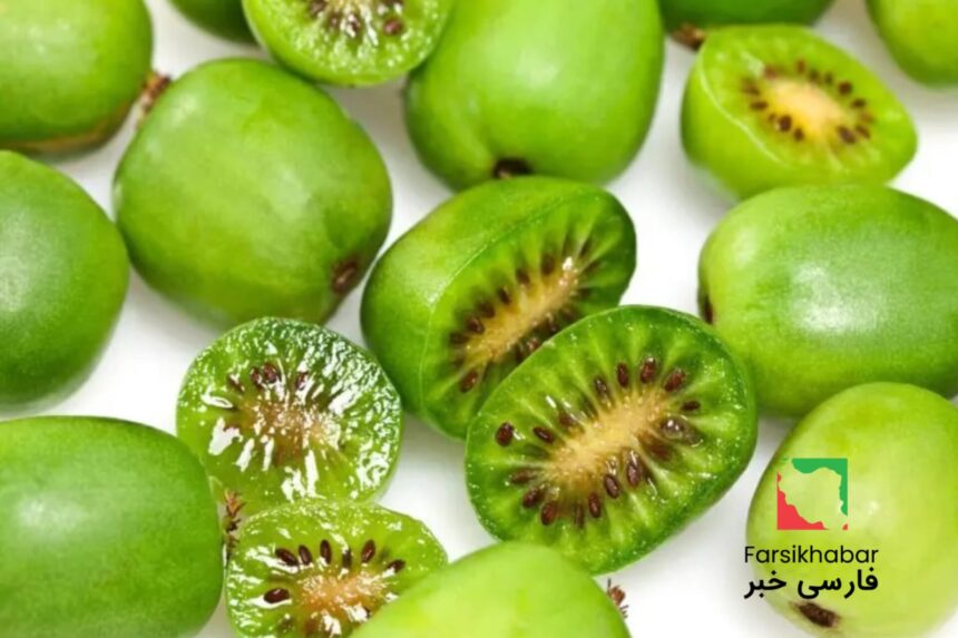 میوه ژاپنی ضد سرطان؛ کشفی که دانشمندان جهان را شوکه کرد!