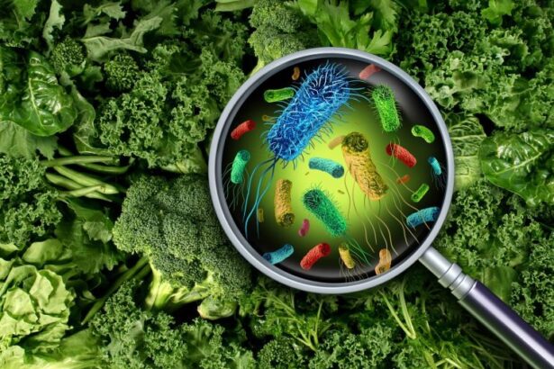 آیا خطرات مواد شیمیایی در غذا زندگی انسان‌ها را تهدید می‌کند؟